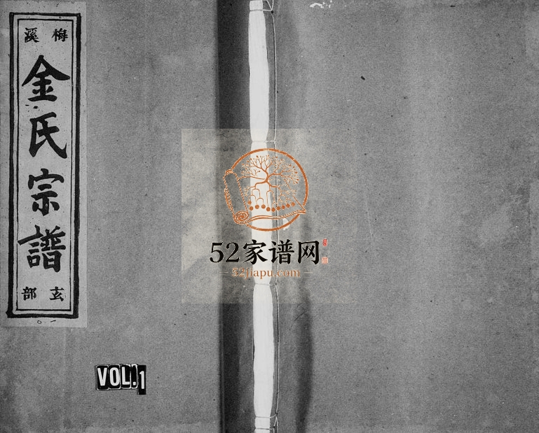 1948年修梅溪金氏宗谱[13卷]浙江永嘉金姓电子版族谱下载