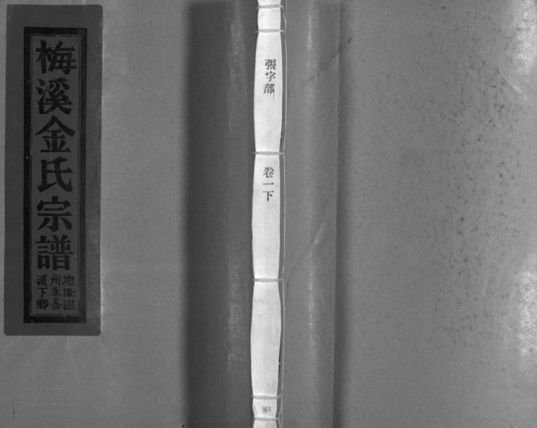 2006年重修梅溪金氏宗谱[15卷]浙江永嘉 瑞安 仙居金姓电子版族谱下载