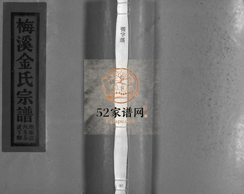2006年重修梅溪金氏宗谱[15卷]浙江永嘉 瑞安 仙居金姓电子版族谱下载