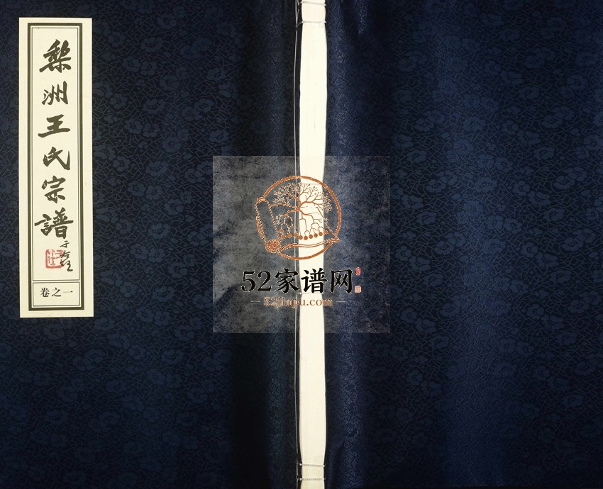 2013年修梨洲王氏宗谱 浙江余姚王姓电子版族谱下载