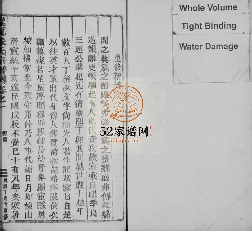 1928年修棠溪朱氏宗谱[22卷含卷首]浙江缙云朱姓电子版族谱下载