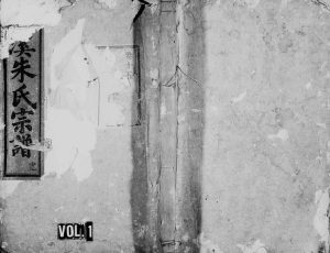 1911年修棠溪朱氏宗谱[残卷]浙江缙云朱姓电子版族谱下载