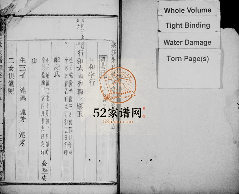 1911年修棠溪朱氏宗谱[残卷]浙江缙云朱姓电子版族谱下载