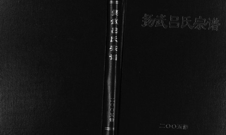 2005年修杨武吕氏宗谱[不分卷]浙江金华 东阳 义乌吕姓电子版族谱下载