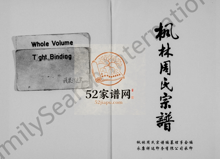 1998年修枫林周氏宗谱 浙江永康周姓电子版族谱下载