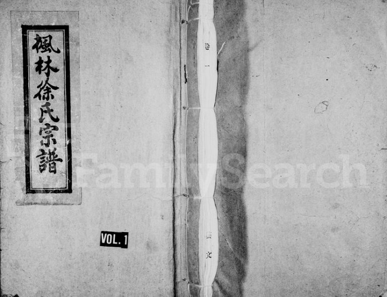 1994年重修枫林徐氏宗谱 浙江永嘉徐姓电子版族谱下载