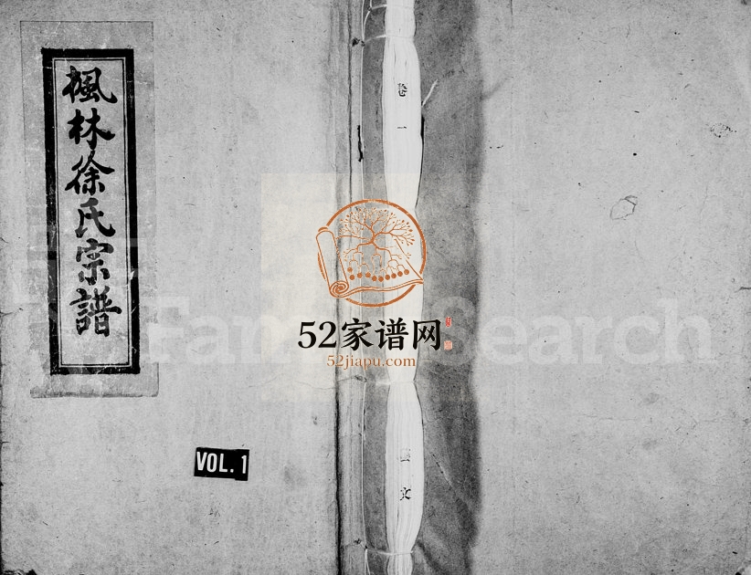 1994年重修枫林徐氏宗谱 浙江永嘉徐姓电子版族谱下载
