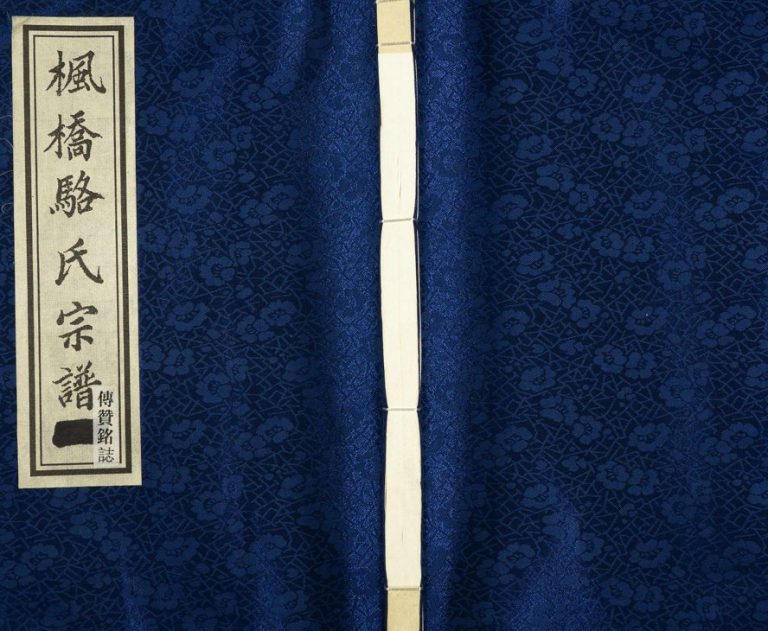 2015年修枫桥骆氏宗谱 浙江诸暨会庆堂骆姓电子版族谱下载