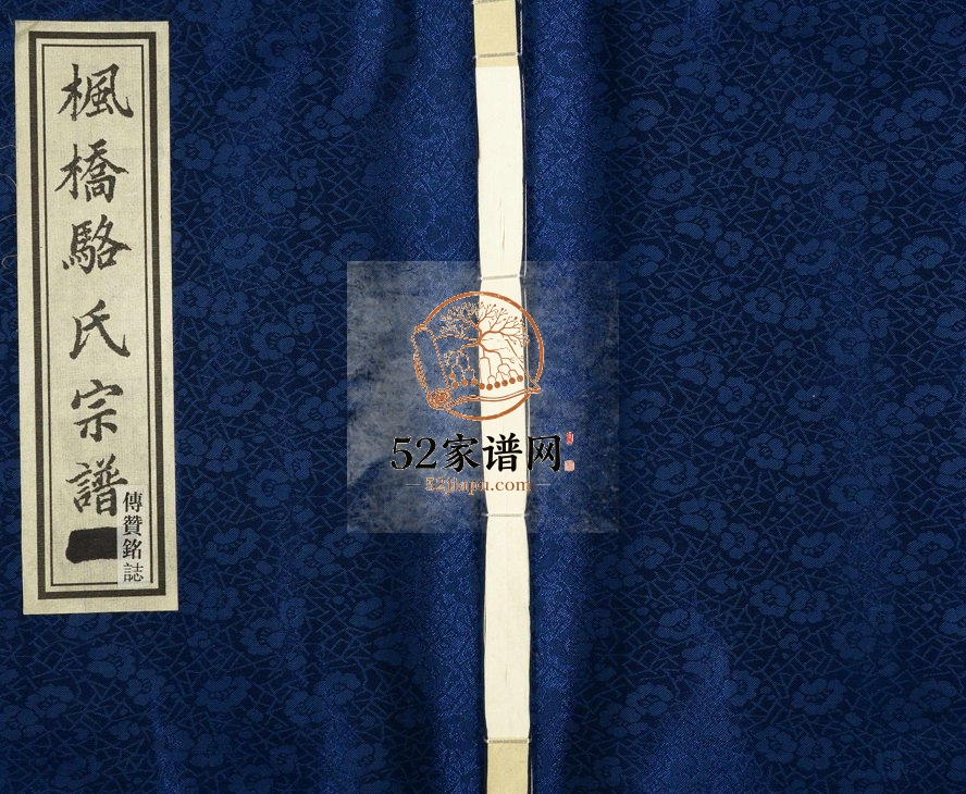 2015年修枫桥骆氏宗谱 浙江诸暨会庆堂骆姓电子版族谱下载