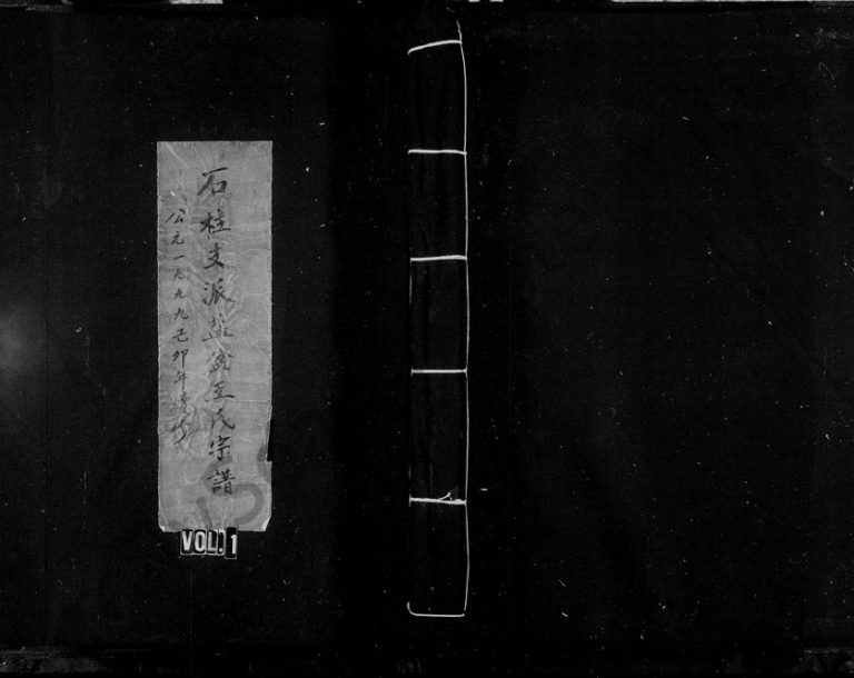 1999年重修乐清盐盆石柱王氏宗谱 浙江永嘉王姓电子版族谱下载