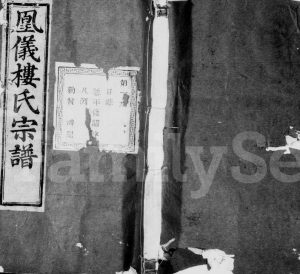 1928年修诸暨凤仪楼氏宗谱[42卷]浙江诸暨惇伦堂楼姓电子版族谱下载