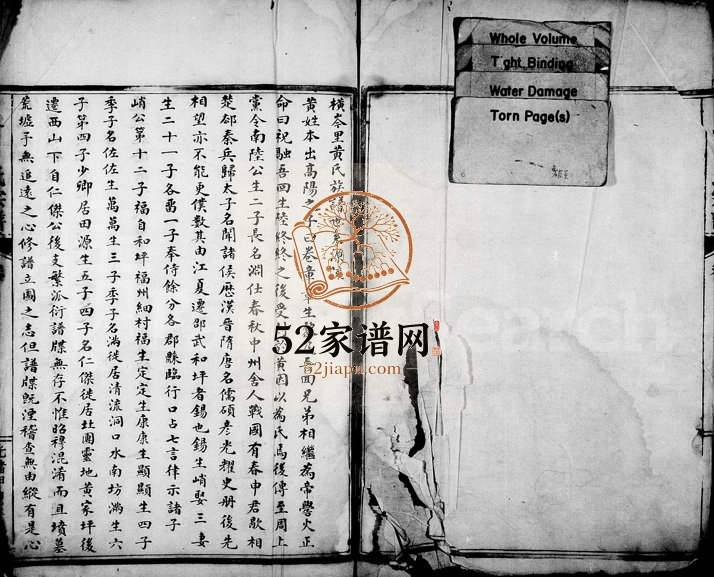1884年重修横岑里黄氏宗谱 浙江永嘉黄姓电子版族谱下载