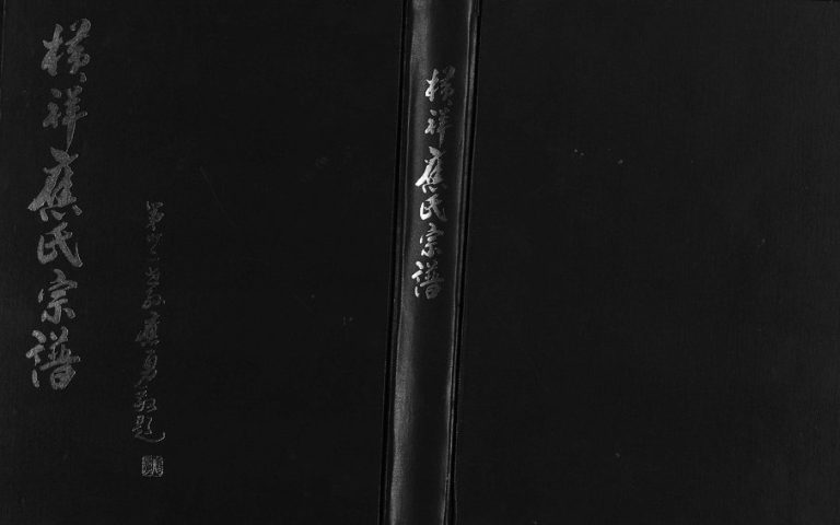 2003年修横祥应氏宗谱[2卷]浙江东阳应姓电子版族谱下载