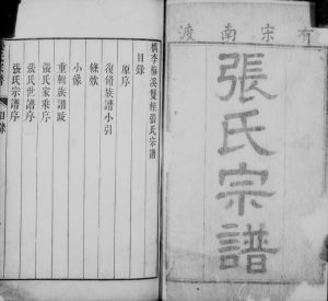 1768年修檇李梅溪双桂张氏宗谱 浙江嘉兴张姓电子版族谱下载