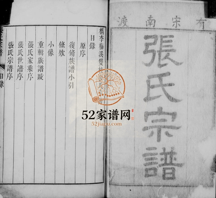1768年修檇李梅溪双桂张氏宗谱 浙江嘉兴张姓电子版族谱下载