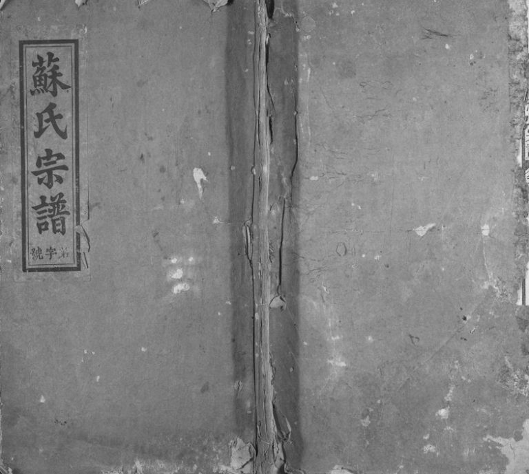 1908年修武功苏氏宗谱[5卷首末各1卷]浙江兰溪同文堂苏姓电子版族谱下载