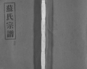 1996年重修武功郡苏氏宗谱[4卷]浙江平阳苏姓电子版族谱下载