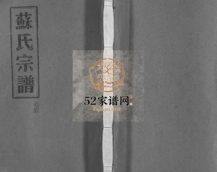 1996年重修武功郡苏氏宗谱[4卷]浙江平阳苏姓电子版族谱下载