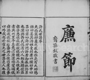 1760年修武林城东许氏宗谱[10卷]浙江杭州许姓电子版族谱下载