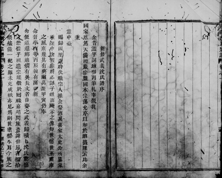 1925年重修武义沈氏宗谱[5卷]浙江沈姓电子版族谱下载
