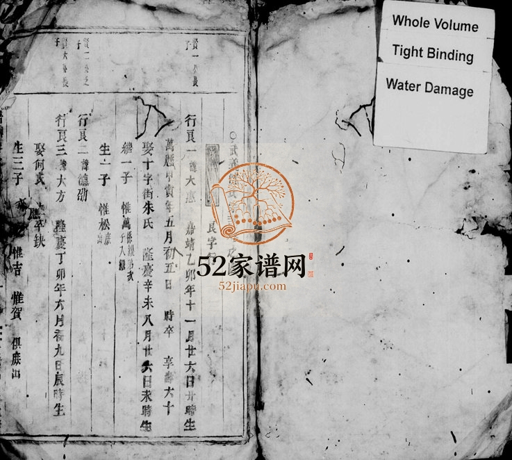 1845年重修武义沈氏宗谱[残卷]浙江沈姓电子版族谱下载