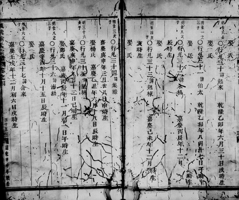 1822年重修武义沈氏宗谱[残卷]浙江沈姓电子版族谱下载