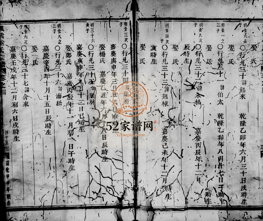 1822年重修武义沈氏宗谱[残卷]浙江沈姓电子版族谱下载