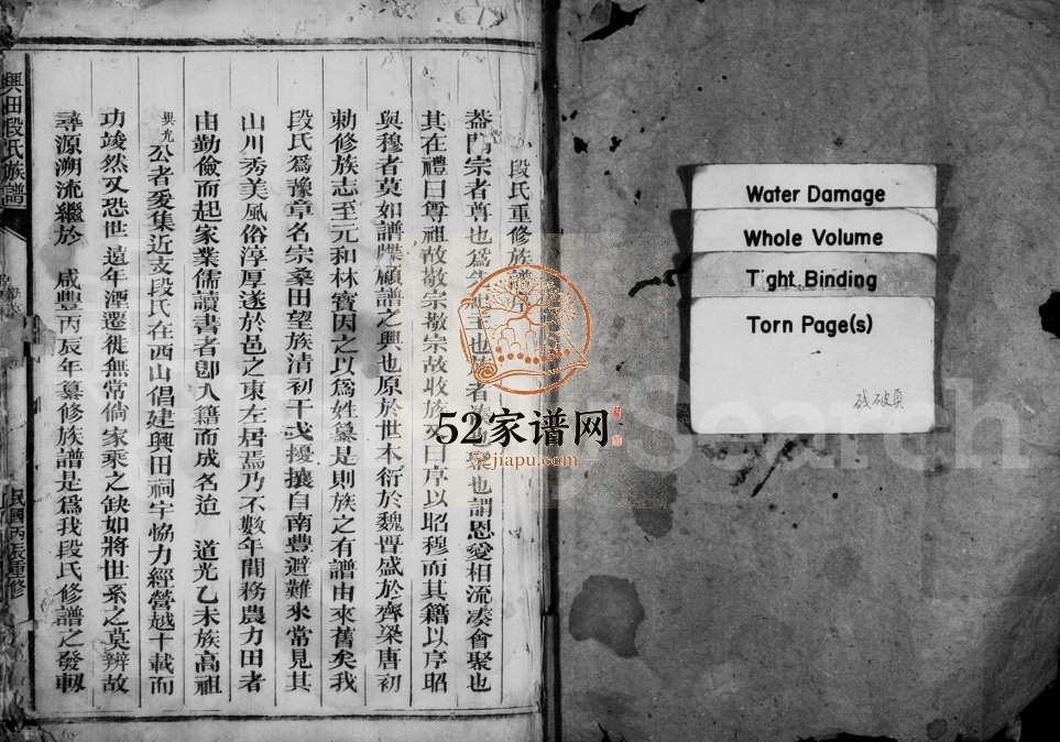 1916年修段氏族谱[不分卷]浙江常山段姓电子版家谱下载