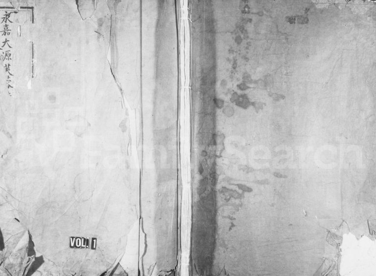 1830年修永嘉大源芙蓉陈氏族谱 浙江陈姓电子版家谱下载
