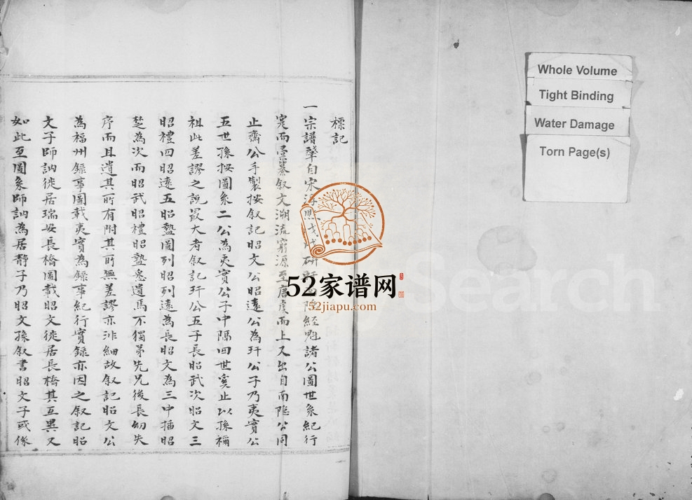 1830年修永嘉大源芙蓉陈氏族谱 浙江陈姓电子版家谱下载