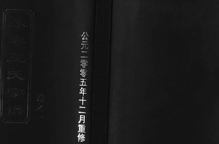 2005年重修永泰王氏宗谱[11卷]浙江东阳王姓电子版族谱下载