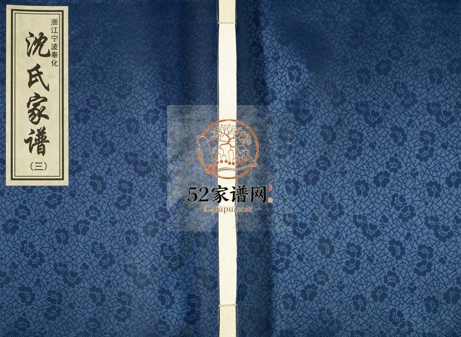2017年修浙江宁波奉化沈氏家谱沈姓电子版族谱下载