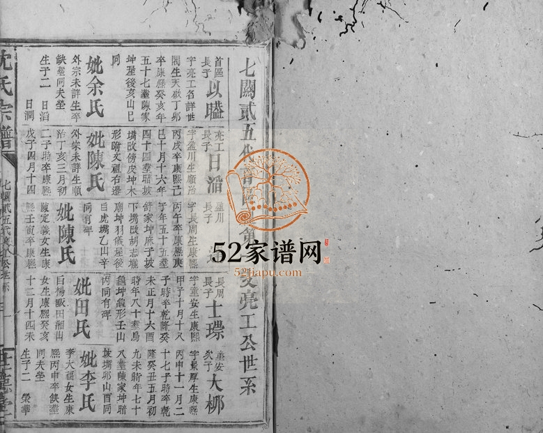 1897年修沈氏宗谱 浙江丽水世德堂沈姓电子版族谱下载