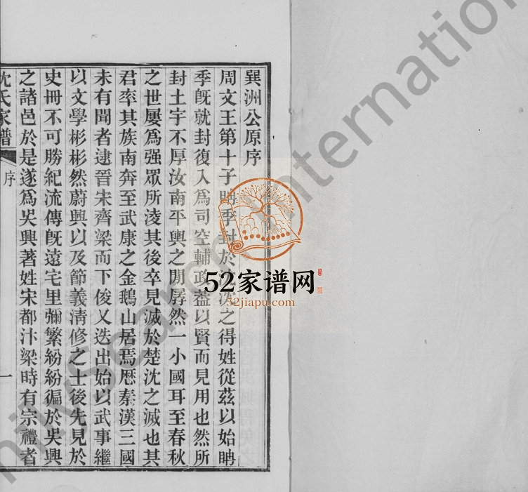 1908年修沈氏家谱 浙江平湖沈姓电子版族谱下载