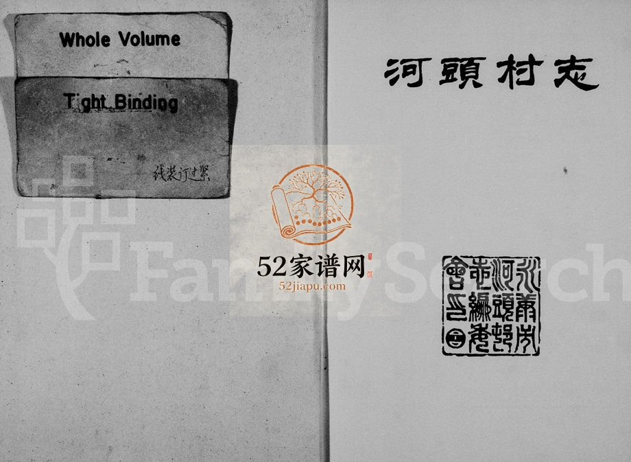 1994年修河头村志 浙江永康电子版族谱下载