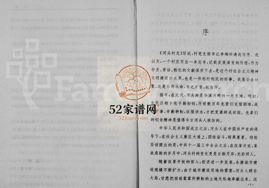 1994年修河头村志 浙江永康电子版族谱下载