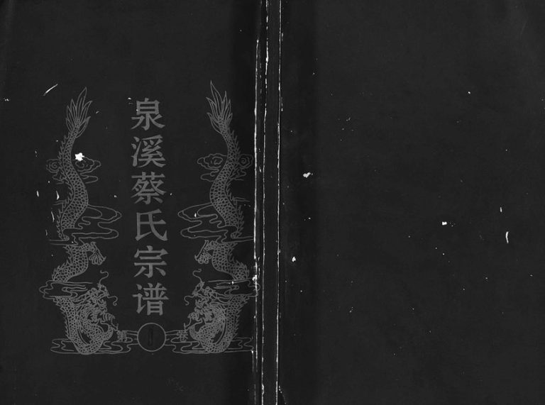 1995年重修泉溪蔡氏宗谱[18卷附1卷]浙江东阳蔡姓电子版族谱下载