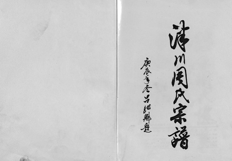 2001年修泮川周氏宗谱 浙江永康周姓电子版族谱下载