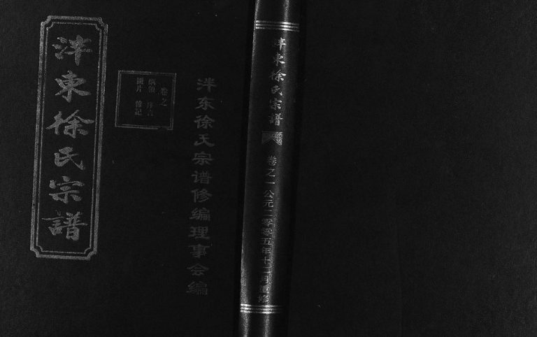 2005年重修泮东徐氏宗谱[9卷]浙江东阳徐姓电子版族谱下载