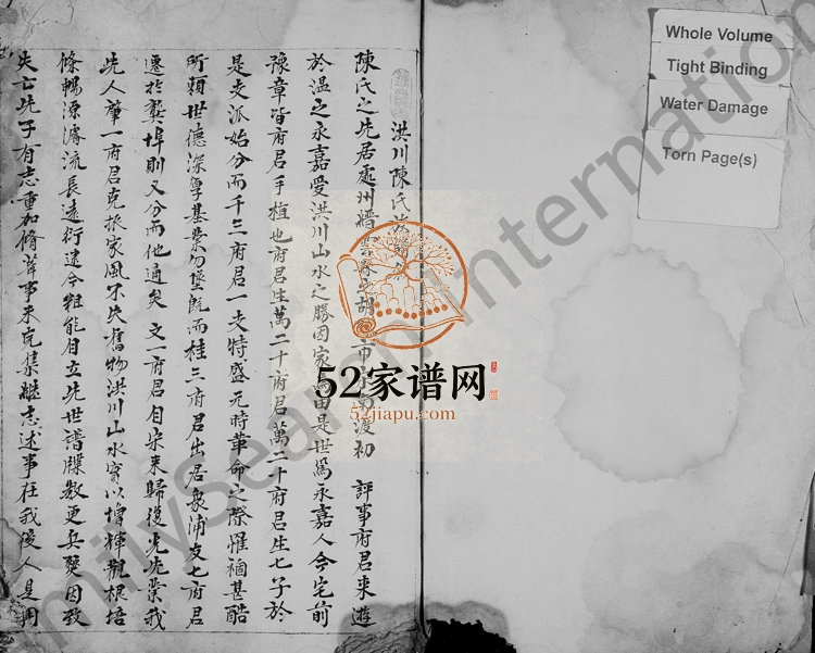 1800年修洪川陈氏族谱 浙江永嘉陈姓电子版家谱下载