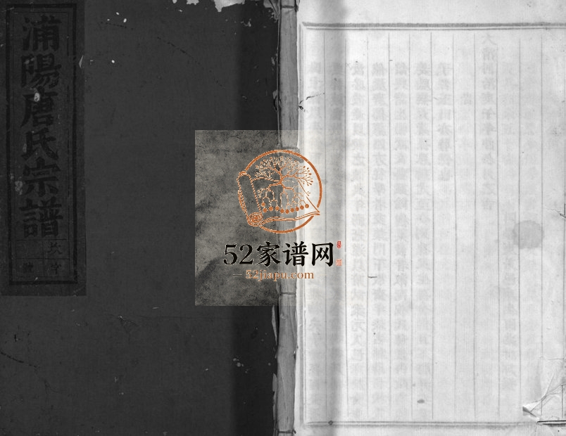 1939年重修浦阳唐氏宗谱[10卷]浙江浦江唐姓电子版族谱下载