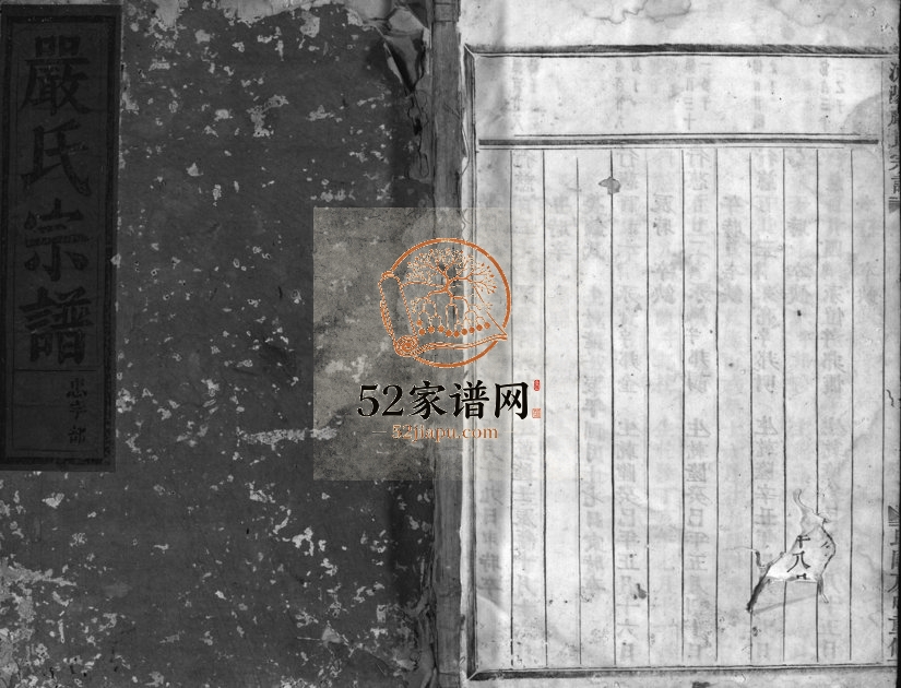 1920年修浦阳严氏宗谱[5卷]浙江浦江严姓电子版族谱下载