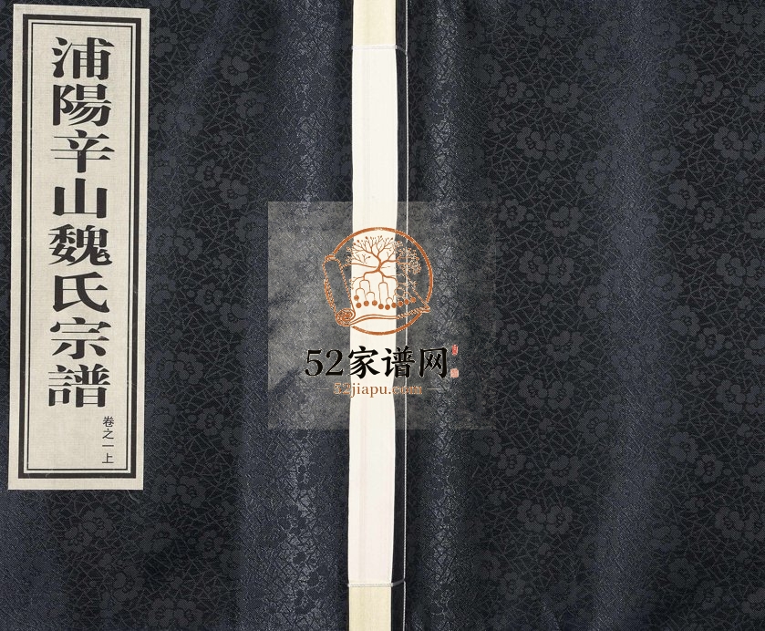 1936年修浦阳辛山魏氏宗谱[5卷]浙江浦江魏姓电子版族谱下载