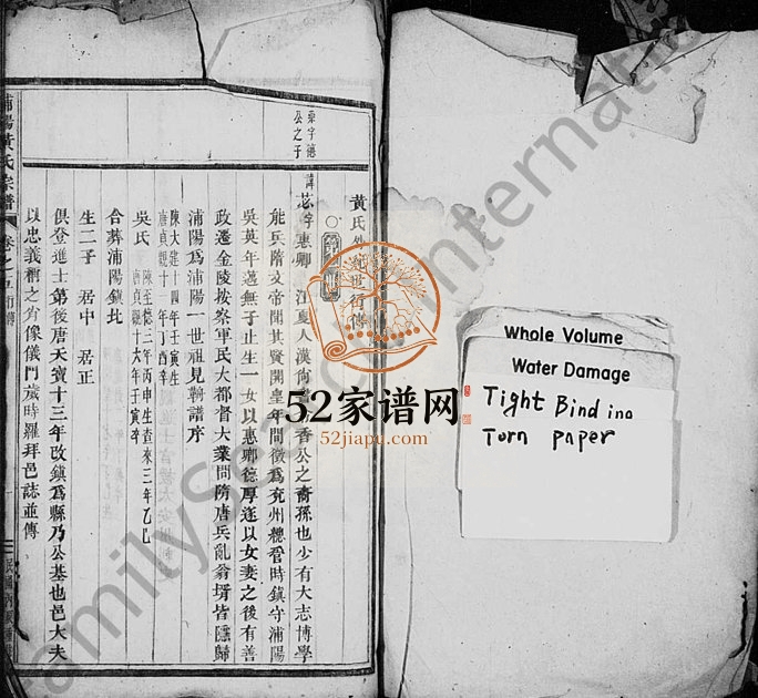 1916年重修浦阳黄氏家谱[残卷]浙江浦江黄姓电子版族谱下载