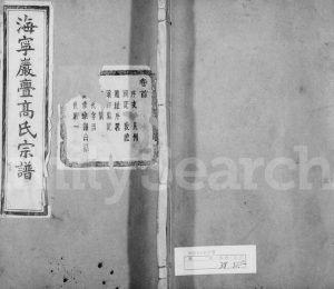 1925年修海宁岩门高氏宗谱[39卷首1卷末3卷]浙江报本堂高姓电子版族谱下载