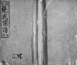 1931年重修清河张氏宗谱[10卷]浙江缙云张姓电子版族谱下载