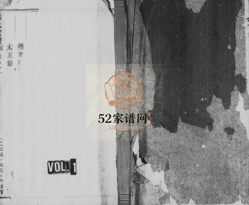 1950年修清河张氏宗谱[11卷]浙江缙云张姓电子版族谱下载