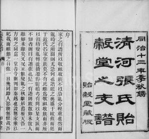 1877年修清河张氏支谱 浙江上虞贻谷堂张姓电子版族谱下载