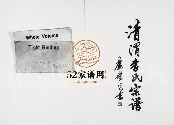 1997年修清渭李氏宗谱 浙江永康李姓电子版族谱下载