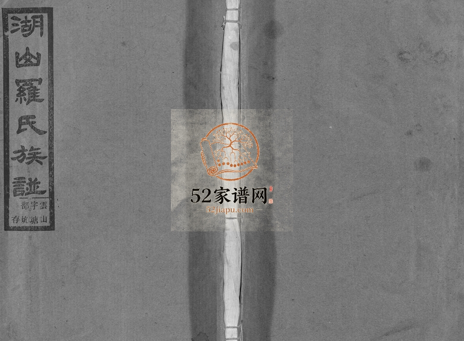 1939年修湖山罗氏族谱[各房分卷]浙江遂昌罗姓电子版家谱下载